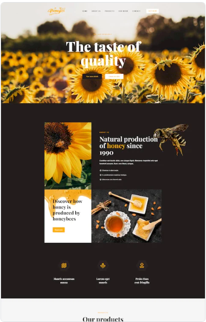 Plantilals wordpress Webpymes, hosting web, paginas web, dominios y servidores (23)