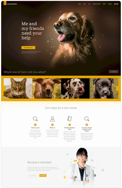 Plantilals wordpress Webpymes, hosting web, paginas web, dominios y servidores (28)