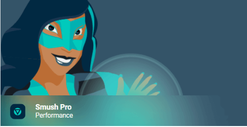Plugin wordpress Premium Pro para tu Hosting web, buscador de dominio,pagina web, servidor, vps (14)